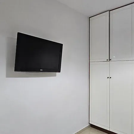 Apartment Lemon Tree